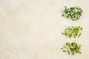 Fresh sprouting microgreens, top view. Sprouted peas seeds micro greens. Vegan food