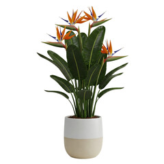 A lush peace lily plant (Spathiphyllum) in a modern ceramic pot, featuring dark green glossy leaves and elegant white blooms