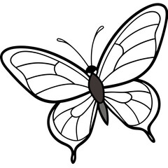 Simple Sea Butterfly Outline Design