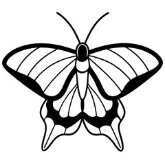 Simple Sea Butterfly Outline Design