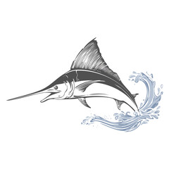 Fototapeta premium Colorful Marlin Leaping from Water