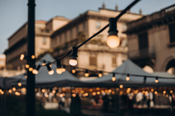 Decorative vintage street black light bulbs with white shade. Outdoor Street electric garland. Old light bulbs. String wired bulbs. Festoon string lights decoration at the party event.