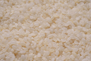 Japanese round white rice on the background. The ingredient for cooking.