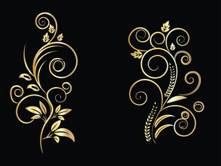 Elegant Golden Floral Ornaments on Black Background © Farzana
