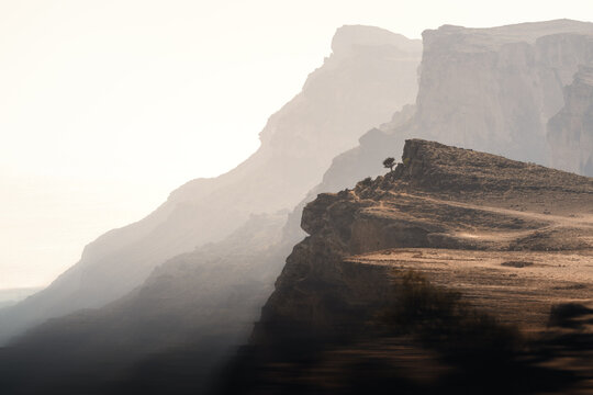 Einsamer Baum in Berglandschaft im Morgennebel im Oman