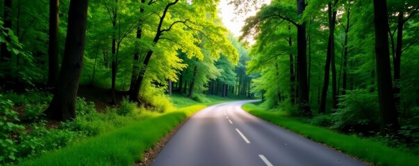 Fototapeta premium Serene rural scene with winding road passing through dense woods, no cars in sight, road, scenic