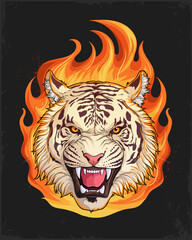 Hand drawn angry roaring white tiger head burning on fire, wild big cat tiger face growling in the middle of raging fire isolated on black background