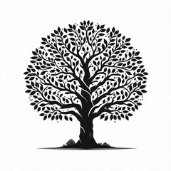 Fototapeta premium Tropical Plants and Trees Silhouette Set – Vector Collection of Palm Trees, Leaves, and Botanical Elements in Black and White