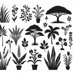 Tropical Plants and Trees Silhouette Set – Vector Collection of Palm Trees, Leaves, and Botanical Elements in Black and White