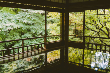 Japan Kyoto Rurikoin