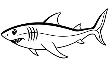 Shark line art vector illustration and white background