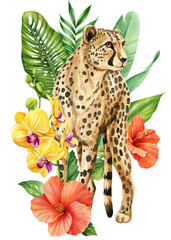 Watercolor cheetah with hibiscus, orchids and tropical green leaves. Jungle floral wild cat illustration African wild 