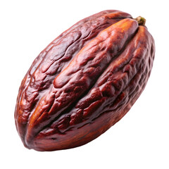 Fototapeta premium Close-up of a Dried Cacao Pod