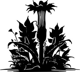 black and white corpse flower