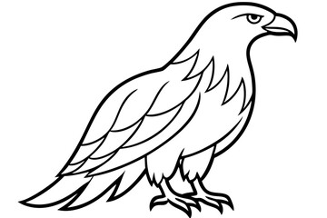 Majestic Eagle Outline
