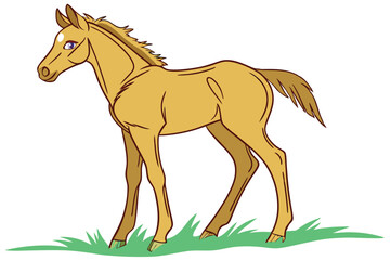 Cartoon foal in Field Whimsical & Artistic Equine Illustration
