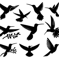 Obraz premium set of a Hummingbird silhouette, Hummingbird silhouette