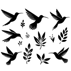 Obraz premium set of a Hummingbird silhouette, Hummingbird silhouette