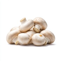 Fototapeta premium Pile of fresh mushrooms isolated on white background