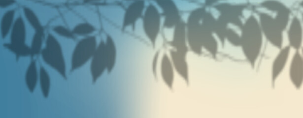 Glare from the sun's rays on the wall. Blurred shadows from leaves and plants in the room. 