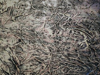 tree bark texture