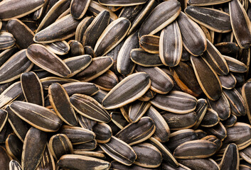 Sunflower seeds background. Top view