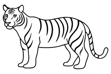 Majestic Tiger Outline