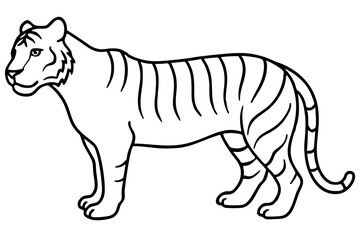 Majestic Tiger Outline