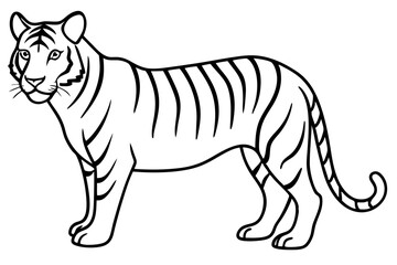 Majestic Tiger Outline