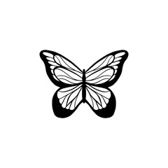 Butterfly vector silhouette on white background.