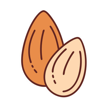 recommend clip art: Stylized Almonds Illustration, Nuts for Healthy Snacks