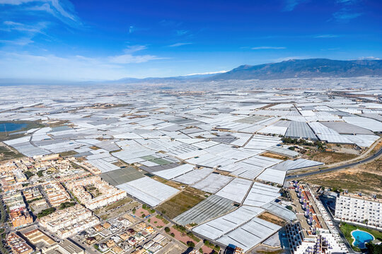 Aerial view of Mar de Plastico, Sea of Plastic, in Almería. A vast expanse of land covered with plastic greenhouses for the production of fruits and vegetables, larger than Almería itself