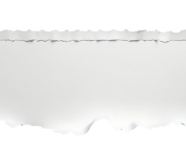 White ripped paper torn edges strips isolated on transparent background,border, grunge, note, page, rip, ripped, sheet, torn, edge, 23
