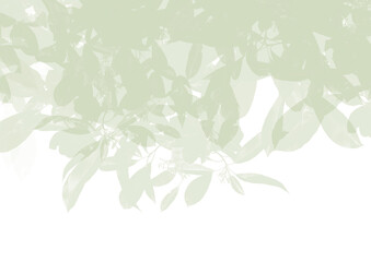 abstract green and white floral background
