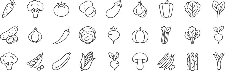 Vegetables line icon set. Vector pictograms of broccoli, potato, onion, garlic, lettuce, spinach, pepper, cucumber, pumpkin, turnip, celery, cabbage, mushroom, thin linear illustration.