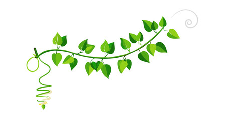 Decorative green vine branch with curling tendrils