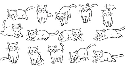 Fototapeta premium Cute playful cat poses hand drawn vector illustration with various kitten postures and expressions 