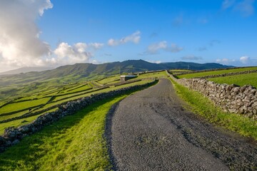 Fototapeta premium Scenic Country Road Winding Through Ancient Stone Walls Toward Volcanic Mountains in Morning Light. Rural Agricultural Path Bordered by Traditional Basalt Rock Fences in Terceira Island, Azores