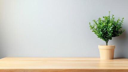 Fototapeta premium Contemporary light wood desk with greenery and plain gray wall background for Zoom