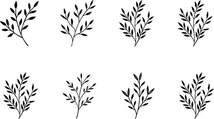 Hand-drawn leaves botanical floral vector element set part 6 illustrations on transparent background	