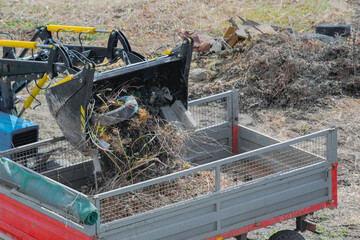 A loader is dumping debris into a truck bed: cleaning up large waste from the site. The efficiency,...
