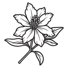 azalea hand drawing illustration silhouette