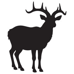 chamois hand drawing illustration silhouette