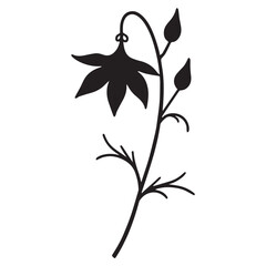 clematis hand drawing illustration silhouette