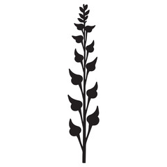 foxglove hand drawing illustration silhouette © SureStock
