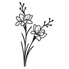 freesia hand drawing illustration silhouette