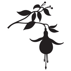 fuchsia hand drawing illustration silhouette