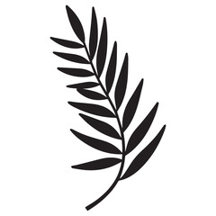grevillea hand drawing illustration silhouette