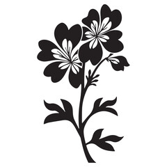 honesty-lunaria  hand drawing illustration silhouette