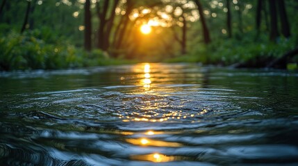 Sunset casts a golden glow over a gently rippling river amidst a forested backdrop, creating a tranquil and picturesque natural scene.